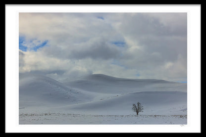 AGAINST THE ELEMENTS BY MICHAEL DAVY