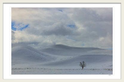 AGAINST THE ELEMENTS BY MICHAEL DAVY