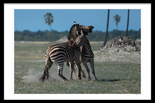 BATTLE ON THE PLAINS 1ST EDITION LIMITED FINE ART PRINTS