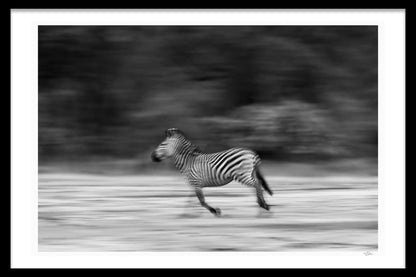 GRACE OF A THOUSAND STRIPES BY MICHAEL DAVY