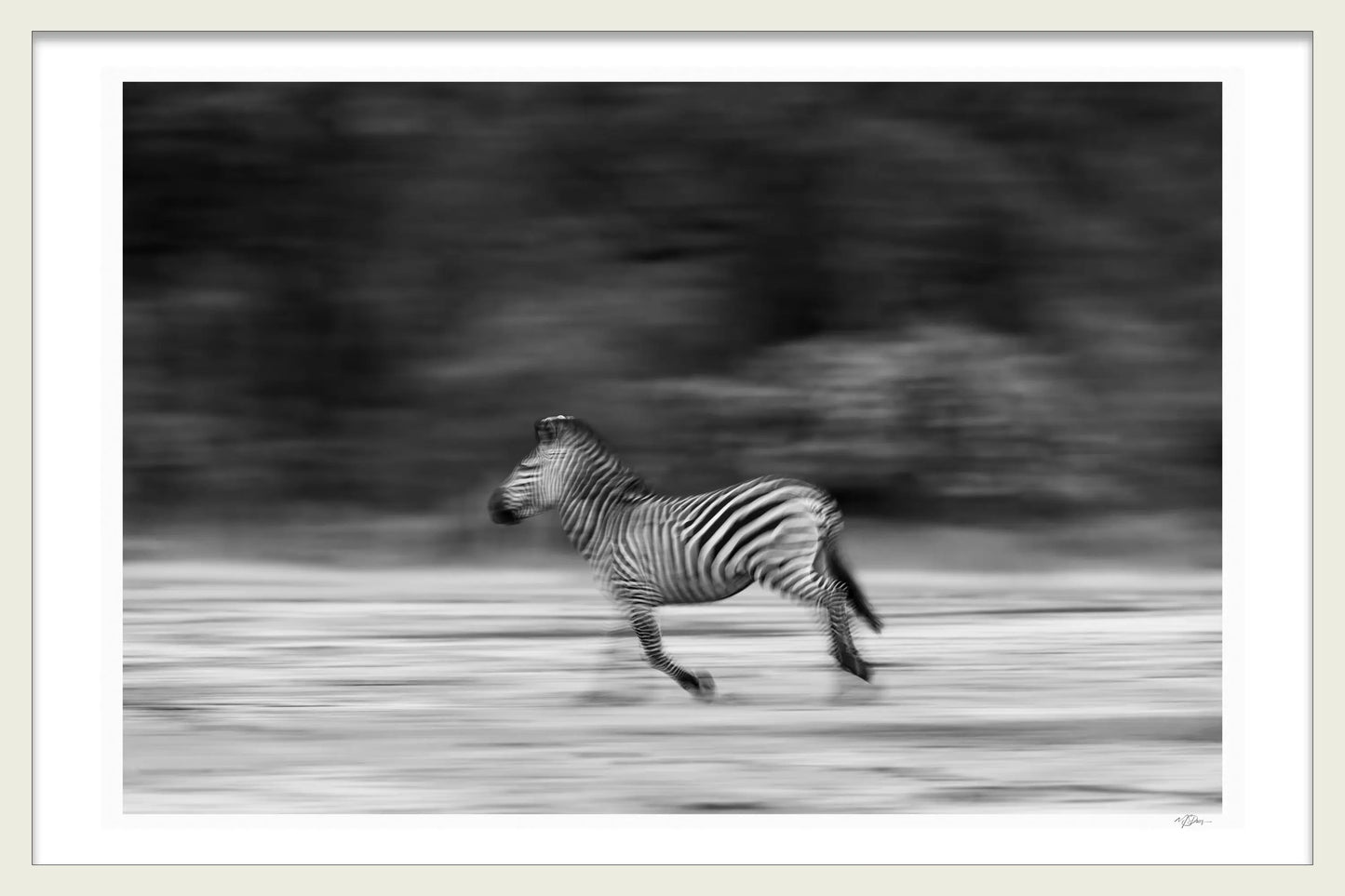 GRACE OF A THOUSAND STRIPES BY MICHAEL DAVY