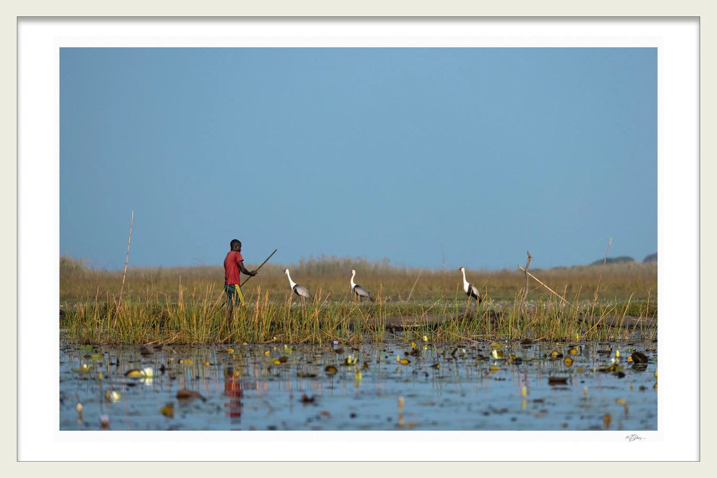 THE BIRDER LIMITED EDITION FINE ART PRINT