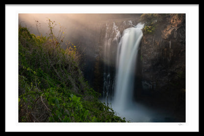 TOUCH OF LIGHT BY MICHAEL DAVY