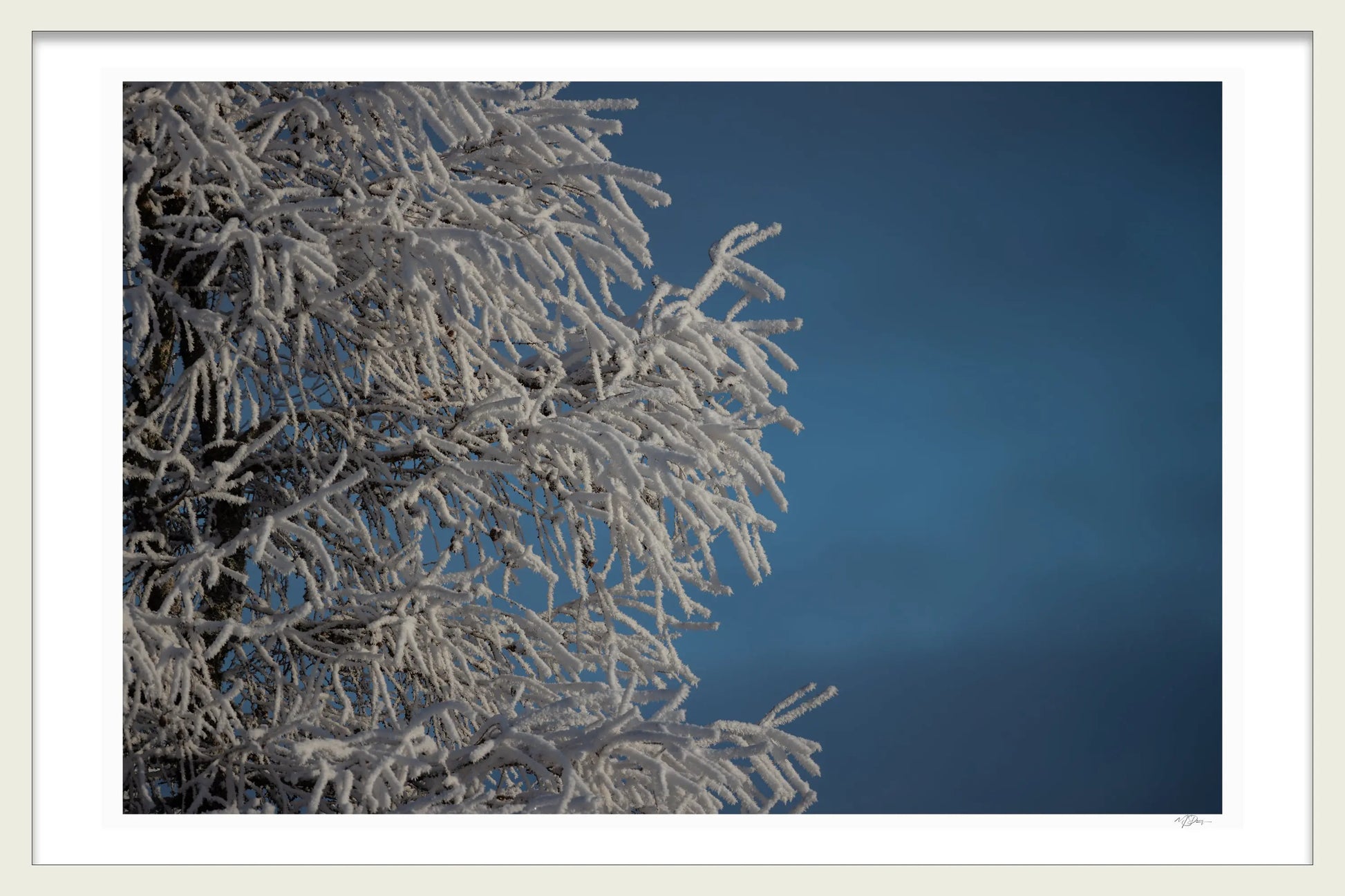 WINTERS EMBRACE 1ST EDITION LIMITED FINE ART PRINTS